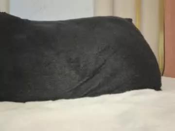 hornyjoy_ from Chaturbate is Freechat