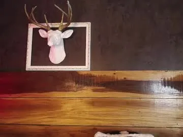 regina_storm — GOAL:  Double penetration with an anal plug and dildo in my vagina while I rub myself [1382 tokens left] #anal #bigboobs #18 #squirt #bigass