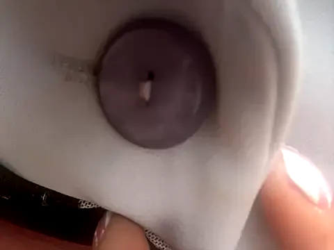 Freechat _Bella-Office1 on StripChat