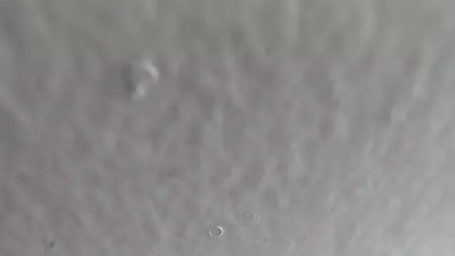 Freechat AntonelaMorriz on StripChat