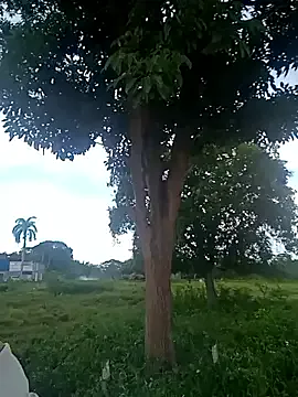 StripChat charlotte_dante212 is Freechat charlotte_dante212 — Do what you want with me