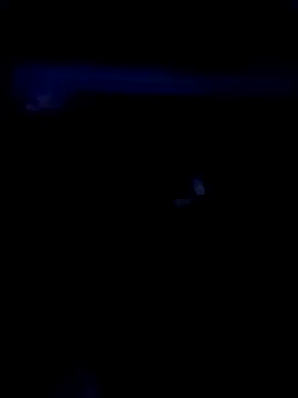 Freechat houy111111 on StripChat