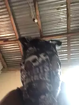 Freechat Lamborghiniasia on StripChat