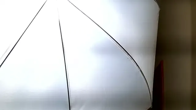 StripChat Ledy_Mary is Group Ledy_Mary — SEDUCTION WITHOUT PANTIES