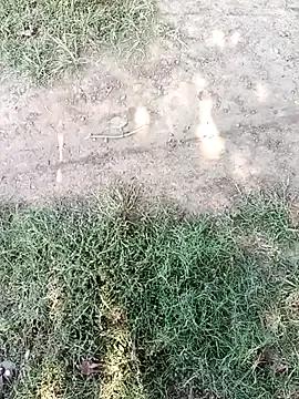 Naked Room Mehta_seema 