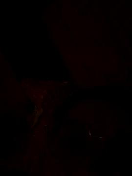 nalalye_cruzz_ from StripChat