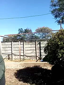 Freechat punkyxxx on StripChat