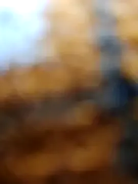 Freechat Rashili_jaan on StripChat