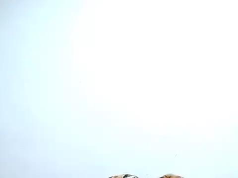 saara_johnson496 from StripChat is Freechat