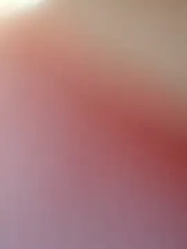 xiaoqingren — C2C   24TK